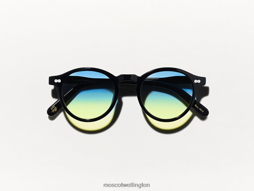 MILTZEN BLACK WITH CUSTOM MADE TINTSMoscot Aqua Sunrise Eyeglasses B600J839