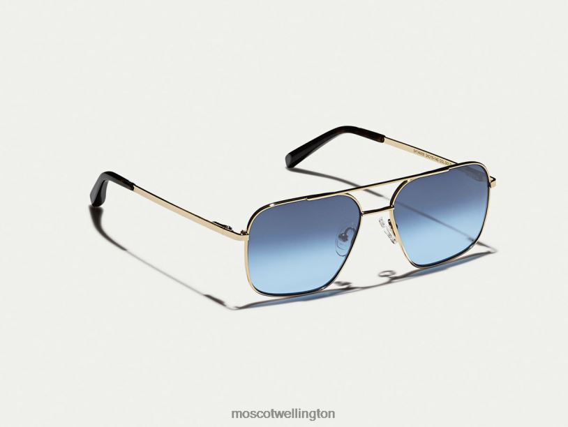 SHTARKER GOLD WITH CUSTOM MADE TINTSMoscot Denim Blue Eyeglasses B600J779