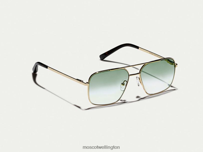 SHTARKER GOLD WITH CUSTOM MADE TINTSMoscot G-15 Fade Eyeglasses B600J783