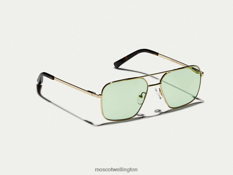 SHTARKER GOLD WITH CUSTOM MADE TINTSMoscot Limelight Eyeglasses B600J782