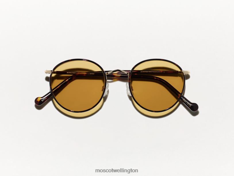 ZEV TORTOISE WITH CUSTOM MADE TINTSMoscot Amber Eyeglasses B600J786
