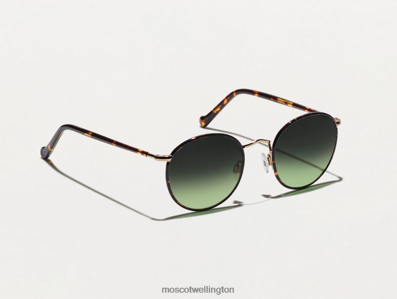 ZEV TORTOISE WITH CUSTOM MADE TINTSMoscot Forest Wood Eyeglasses B600J787