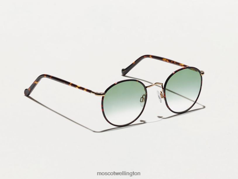 ZEV TORTOISE WITH CUSTOM MADE TINTSMoscot G-15 Fade Eyeglasses B600J804
