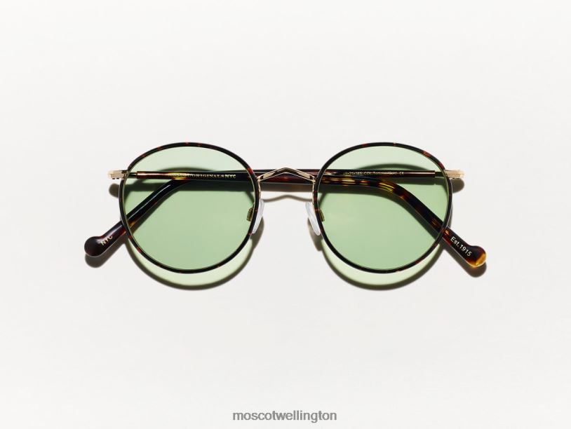 ZEV TORTOISE WITH CUSTOM MADE TINTSMoscot Limelight Eyeglasses B600J785