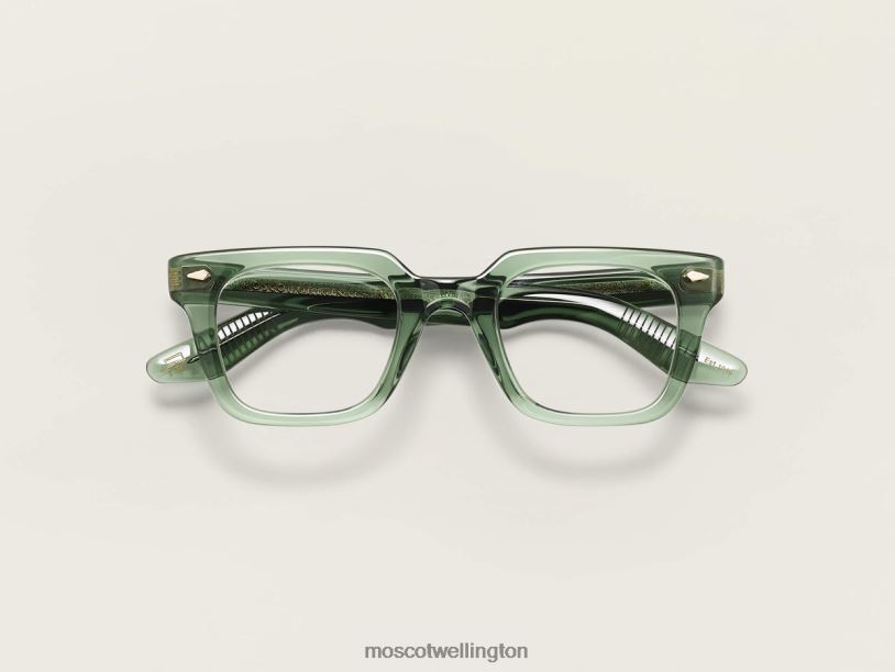 GROBERMoscot Pine Eyeglasses B600J64