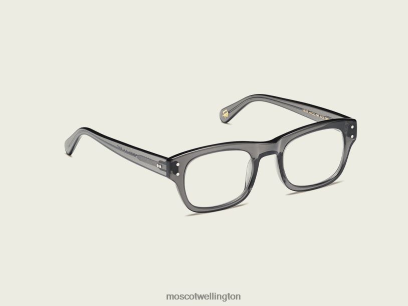 NEBBMoscot Grey Eyeglasses B600J47