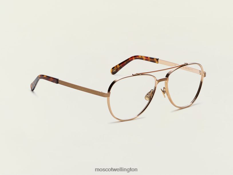 SHAVMoscot Gold Eyeglasses B600J289