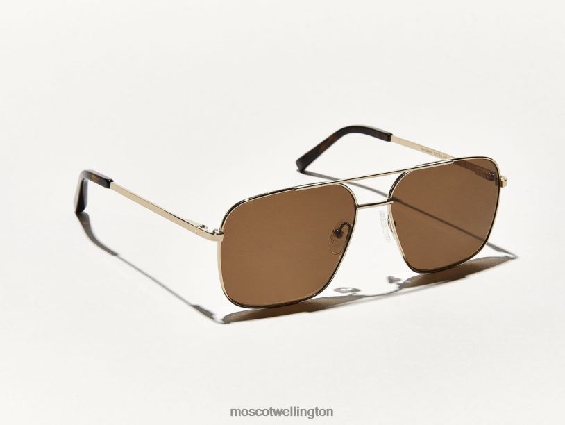 SHTARKER SUNMoscot Gold Sunglasses B600J496